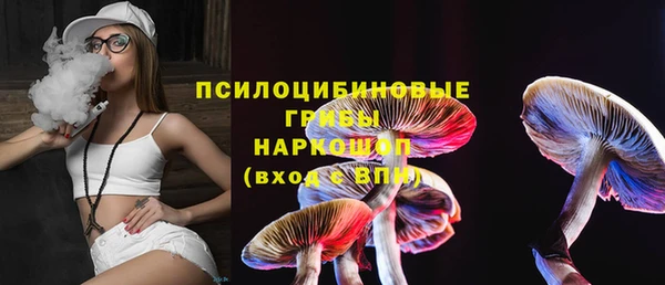 spice Абинск